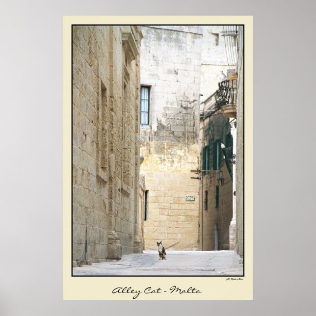 Poster Alley Cat - Malte (Devant)