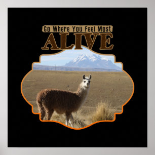 Poster Allez Là Où Vous Sentez Le Plus Alive Llama Aventu