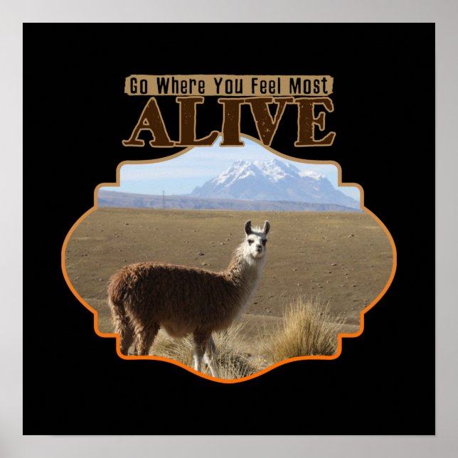 Poster Allez Là Où Vous Sentez Le Plus Alive Llama Aventu (Devant)