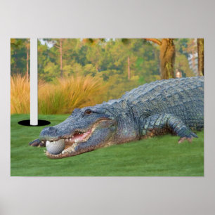 Poster Alligator de golf à vie dangereux Imprimer