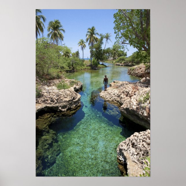 Poster Alligator Hole, Black River Town, Jamaïque (Devant)
