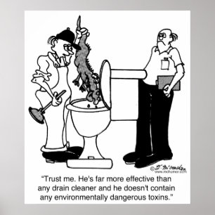 Poster Alligators comme nettoyeurs à sec