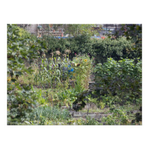 Poster Allocations au pont Hebden