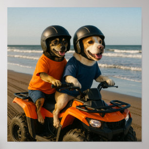Poster "Allons faire du quad"