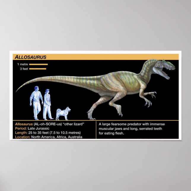 Poster Allosaurus - Biology Jurassic (Devant)
