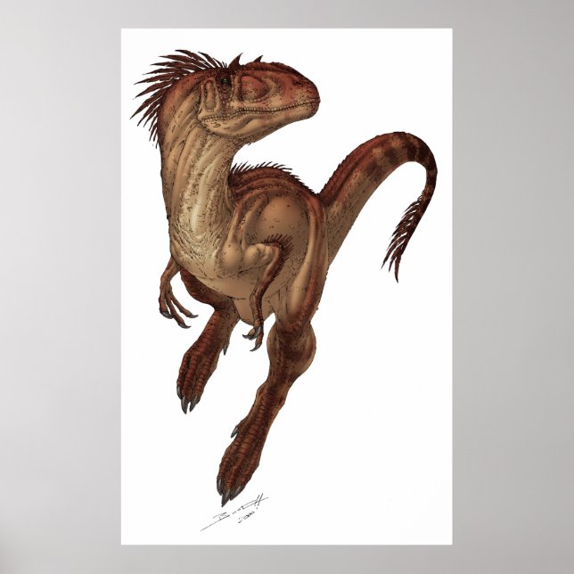 Poster Allosaurus fragilis (Devant)