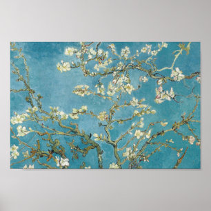 Poster Almond Blossom par Vincent van Gogh