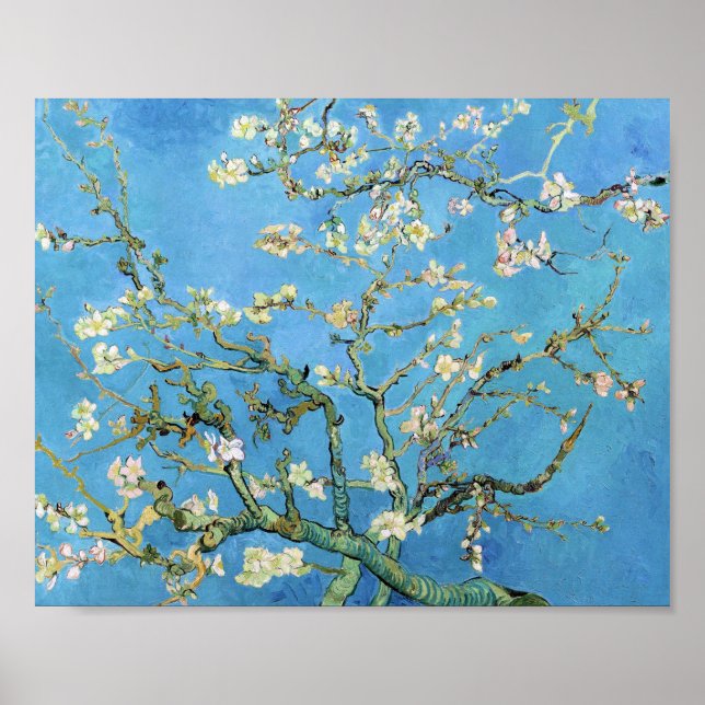 Poster Almond Blossom Vincent Van Gogh (Devant)