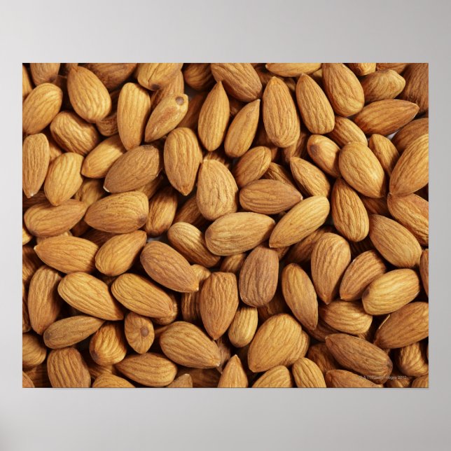 Poster Almonds (Devant)