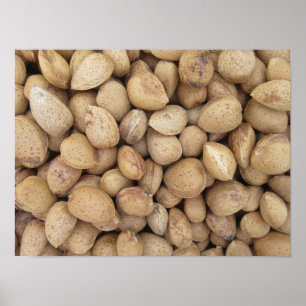 Poster Almonds Automne Motifs