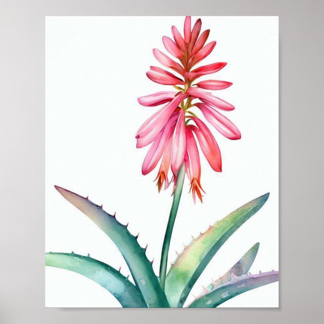 Poster Aloé en fleurs (Devant)