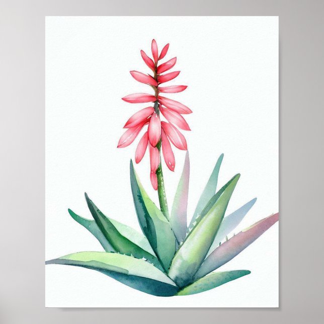 Poster Aloé en fleurs (Devant)