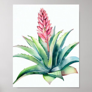 Poster Aloé en fleurs