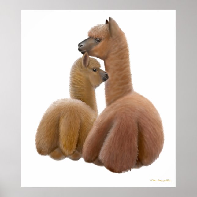 Poster Alpaca Love Print (Devant)