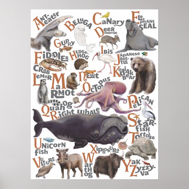 Poster Alphabet Animaux (Devant)