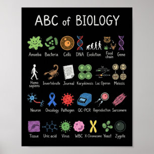 Poster Alphabet de biologie Éducation scientifique Enseig