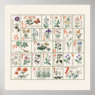 Poster Alphabet de broderie Fleur sauvage de style vintag