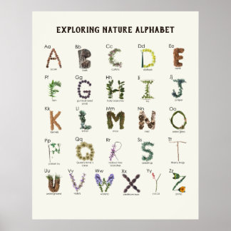 Poster Alphabet de découverte de la nature | Pépinière AB