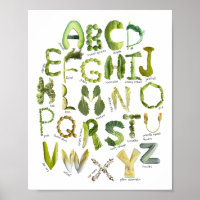 Alphabet des légumes - Mangez vos légumes verts En