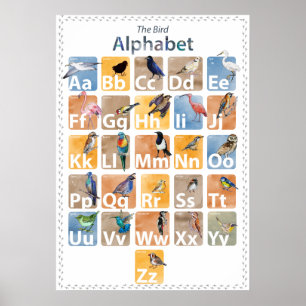 Poster Alphabet d'oiseaux