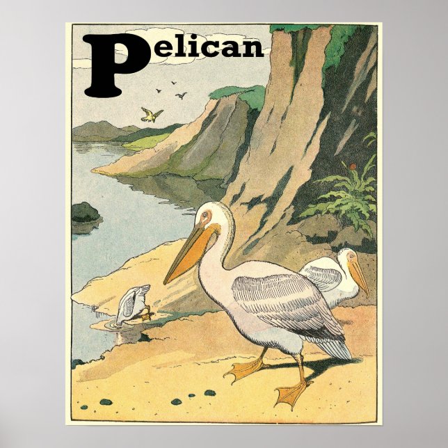 Poster Alphabet du livre de l'histoire de Pélican (Devant)