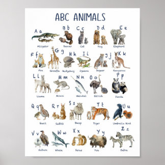 Poster Alphabets animaux de retour à l'école