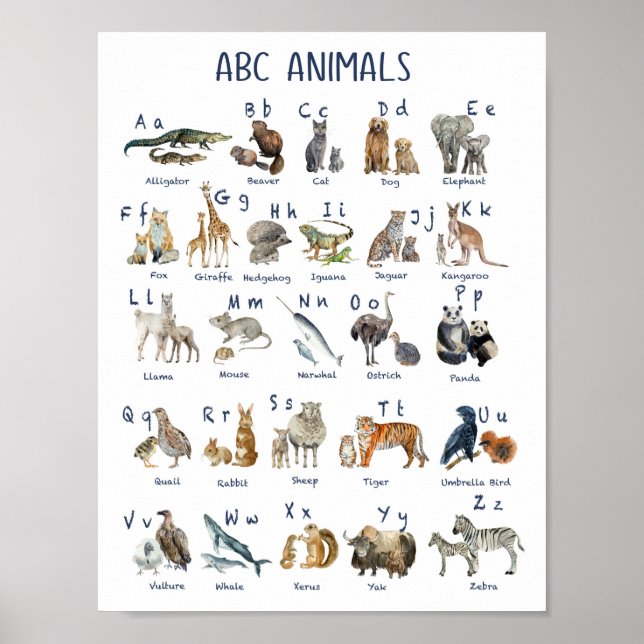 Poster Alphabets animaux de retour à l'école (Devant)