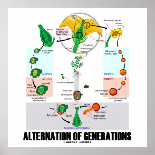 Poster Alternative Of Generations