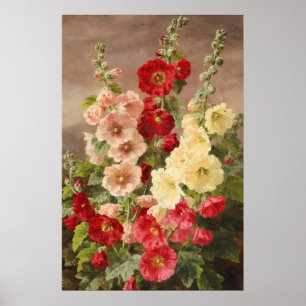 Poster Althæa rouge, blanc et rose, Christensen