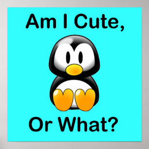 Poster Am I Cute, Or What?