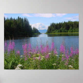 Poster Amalgafireweed