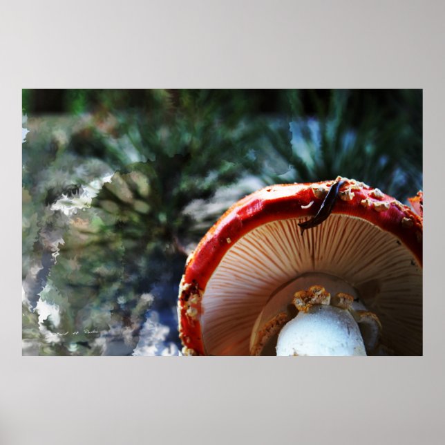 Poster Amanita Muscaria avec limon (Devant)
