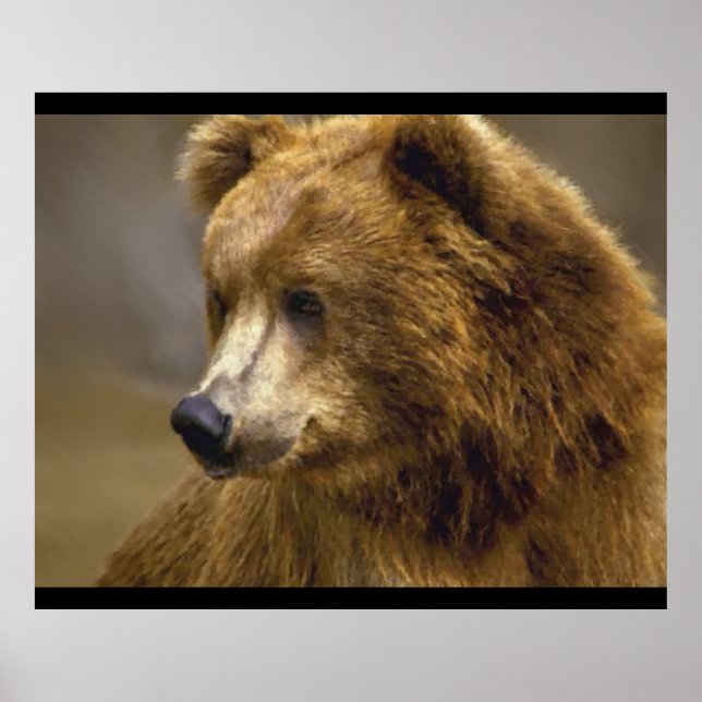 Poster Amateurs Brown d'ours (Devant)