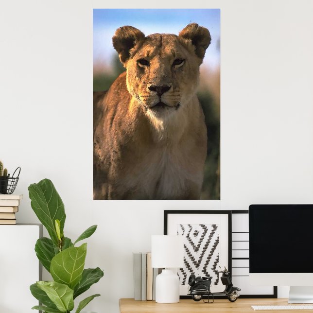 Poster Amateurs de lions lioness (Bureau à domicile)