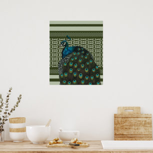 Poster Amateurs d'oiseaux de paon élégant