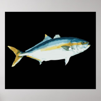 Poster Amberjack japonais Hamachi Yellowtail