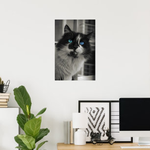 Poster Âme d'Azur Yeux Bleus Chat Noir et Blanc Beaux-Art