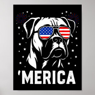 Poster America Boxer Dog Drapeau Américain Célibataires P