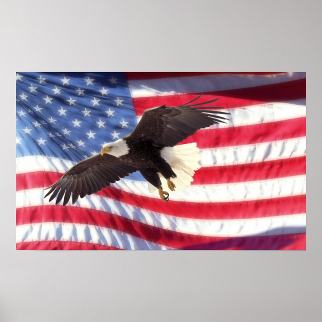 Poster américain de l'aigle et du drapeau (Devant)