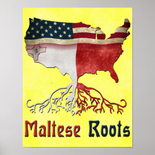 Poster américain Maltese Roots Print