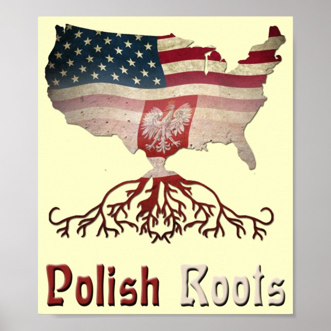 Poster américain polonais Roots (Devant)