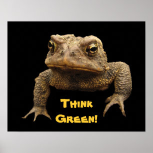 Poster américain sur le Jour des terres de crapaud