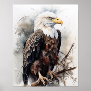 Poster American Bald Eagle Bird Art Imprimer l'affiche