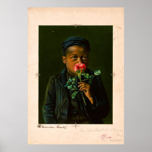 Poster American Beauty (1895)