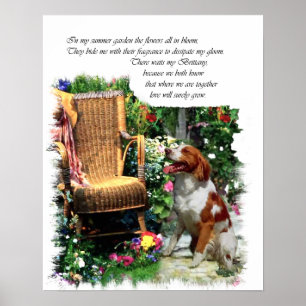 Poster American Brittany Spaniel Art Imprimer