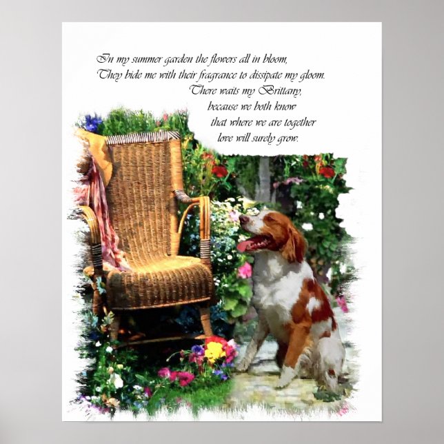 Poster American Brittany Spaniel Art Imprimer (Devant)