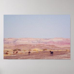 Poster American Desert Horses P8670