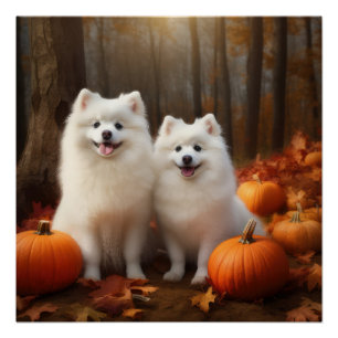 Poster American Eskimo Chiot Automne Citrouille délice