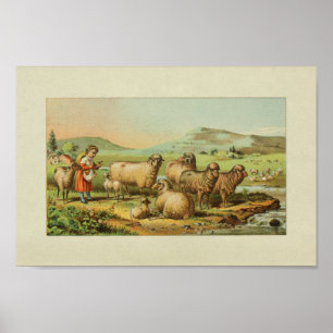 Poster American Farmer Vintage Imprimer Mouton Pâturage