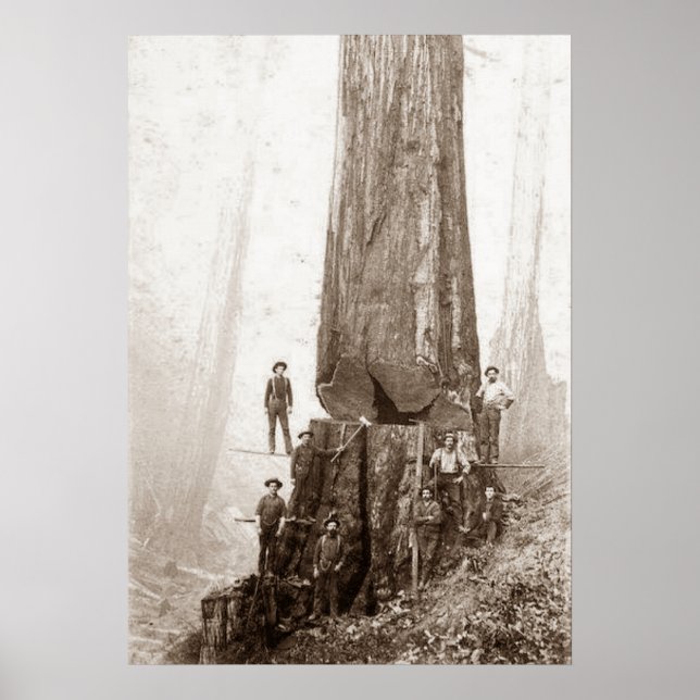 Poster American Loggers Circa 1880 (Devant)